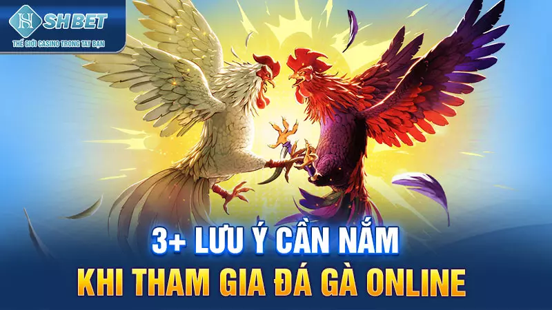 3+ lưu ý cần nắm khi tham gia đá gà online