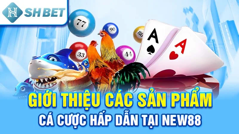 Giới thiệu các sản phẩm cá cược hấp dẫn tại New88