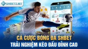 Cá Cược Bóng Đá SHBET: Trải Nghiệm Kèo Đấu Đỉnh Cao