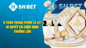 Ù Tròn Trong Phỏm Là Gì? Bí Quyết Cá Cược Rinh Thưởng Lớn